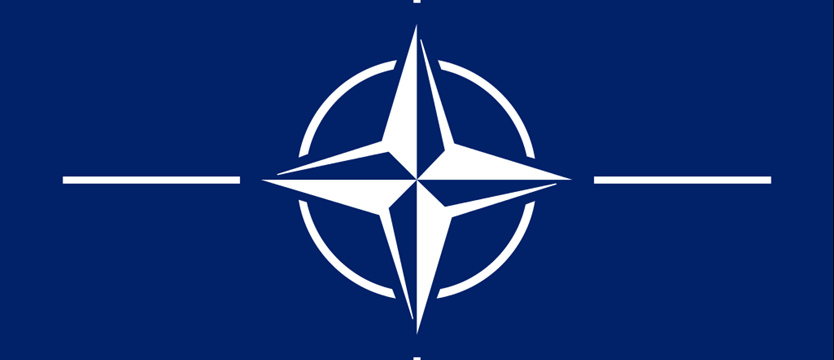 Batalionowa grupa bojowa NATO już w Polsce