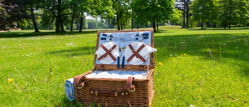 Piknik  w Brandenburgii
