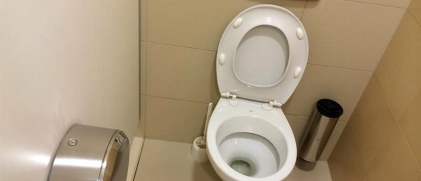 Korzystanie z japońskich toalet będzie łatwiejsze