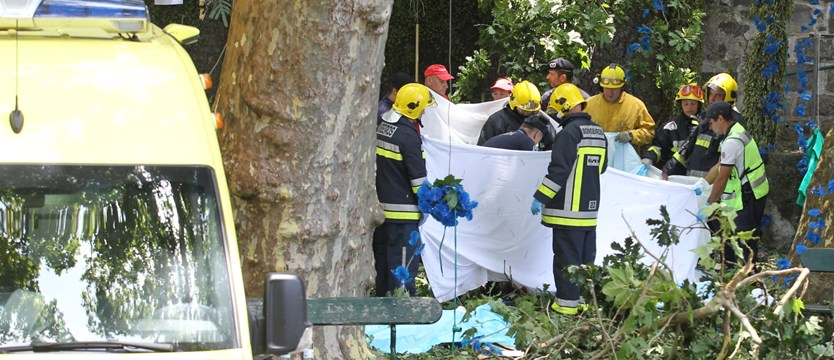 Drzewo zabiło kilkunastu uczestników procesji