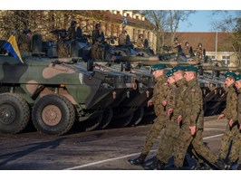 Polskie moździerze dla Brygady
