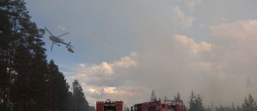 Polscy strażacy w Szwecji: Utrzymujemy pożar z dala od miejscowości