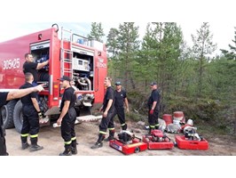 Polscy strażacy w Szwecji: Utrzymujemy pożar z dala od miejscowości