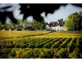 Beaujolais Nouveau i niecodzienne tradycje winiarskie na świecie