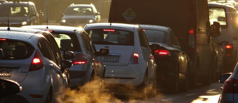 Zakaz wjazdu samochodów do centrów miast nie rozwiąże w pełni problemu smogu