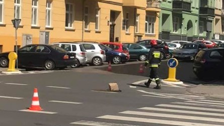 Rój na ulicy