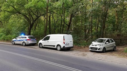 Drzewo spadło na samochód