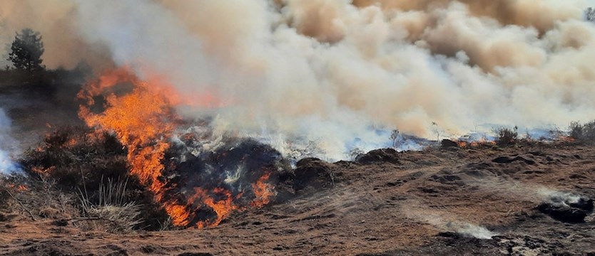 W Grecji spodziewane są szybko przesuwające się pożary